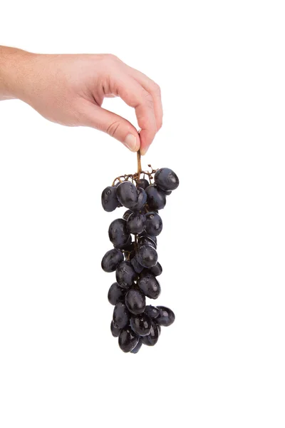 Czarny dojrzałe winogrona — Zdjęcie stockowe