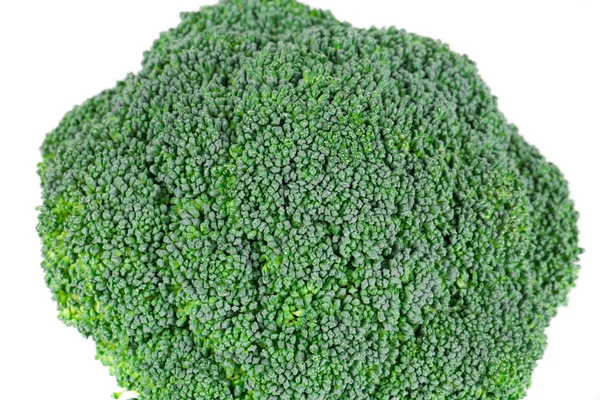 Färsk broccoli. — Stockfoto