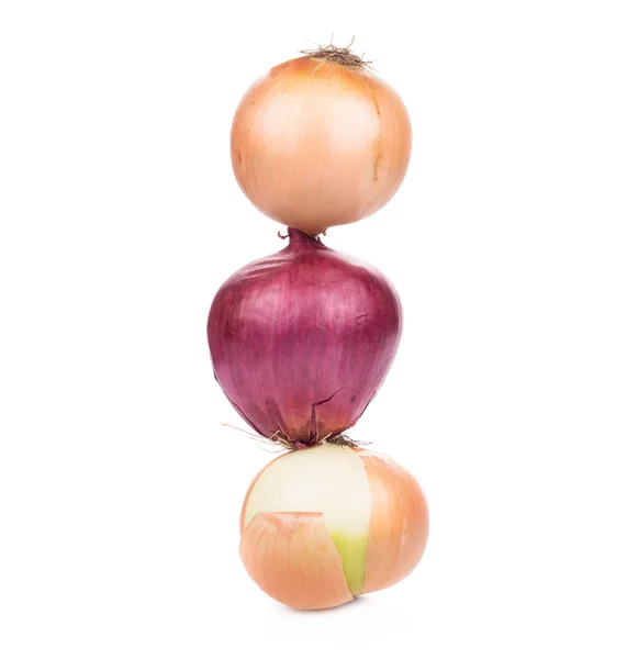 Close up of Different onions — Stock Photo, Image