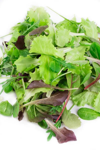 Campur salad . — Stok Foto