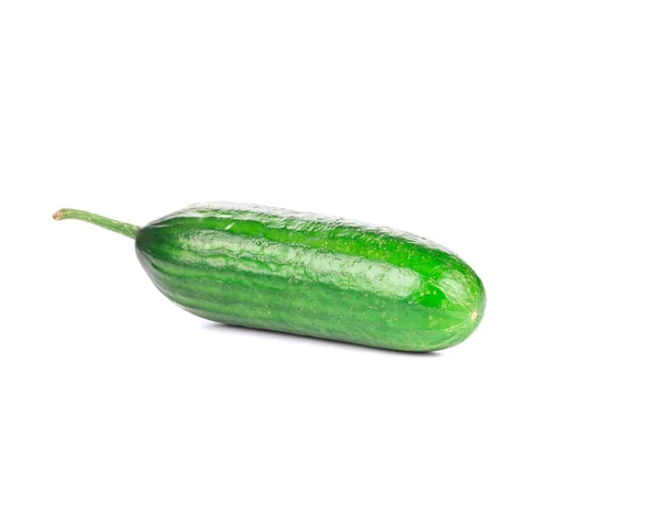 Fresh cucumber — Stock Photo, Image