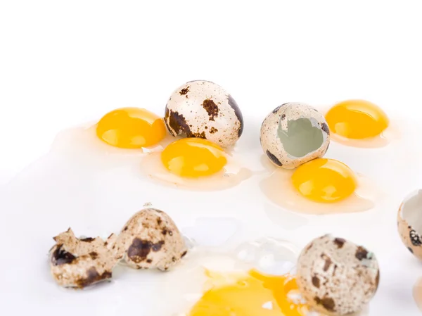 Huevos rotos de codorniz — Foto de Stock