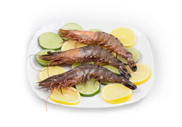 Raw shrimps on plate. — Stock Photo, Image