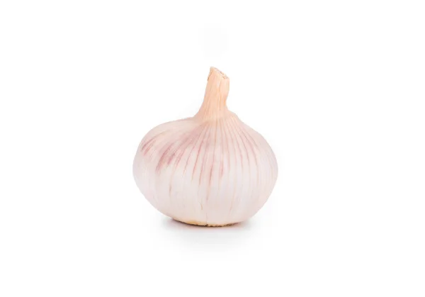 Garlic head. — Stock Photo, Image