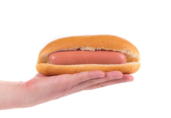 Hand holding hot dog. — Stock Photo, Image