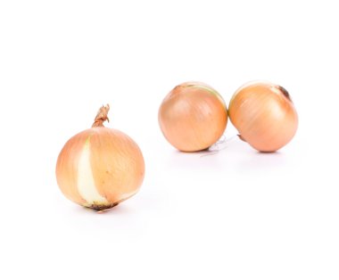 Olgun soğan yakın çekim