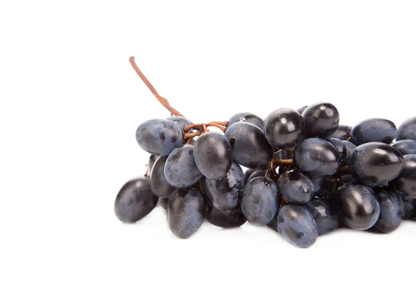 Bunch of blue grapes. — Stock Photo, Image