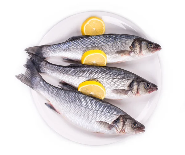 Three fresh seabass fish on plate. — Stock Photo, Image