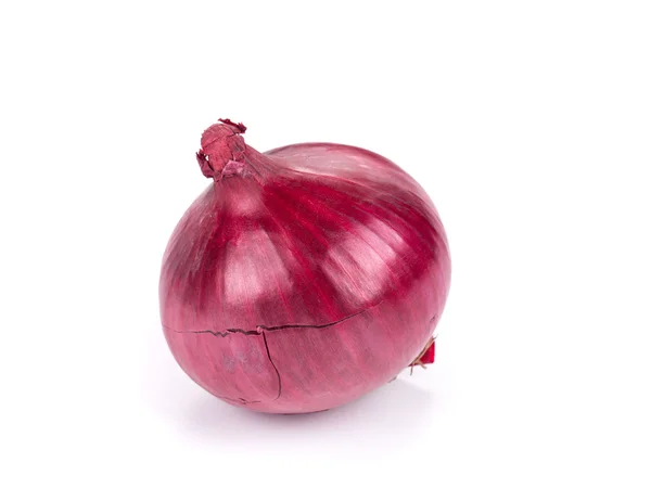 Cebolla roja aislada — Foto de Stock
