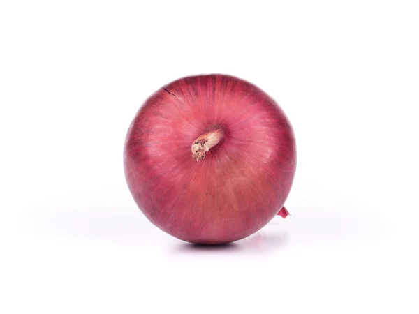 Red onion isolated — Stock Photo, Image