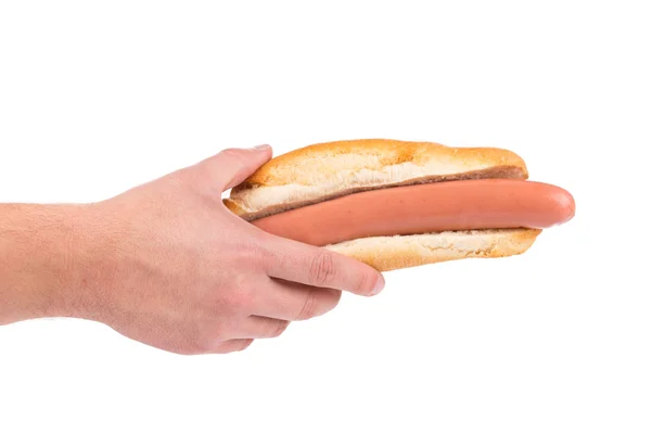 Velsmagende hotdog i hånden - Stock-foto