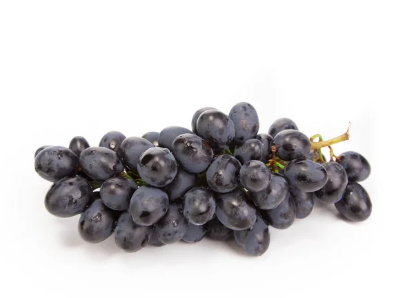 Branch of black ripe grapes — Stock Photo, Image