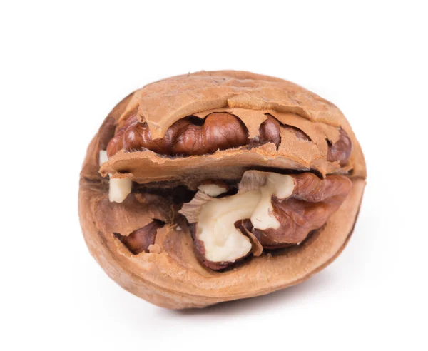 Close up of walnut — Stock Photo, Image