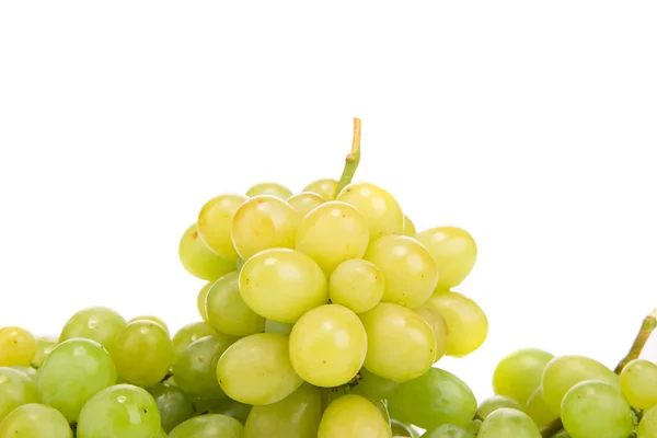 Bunch of ripe and juicy green grapes — Stock Photo, Image