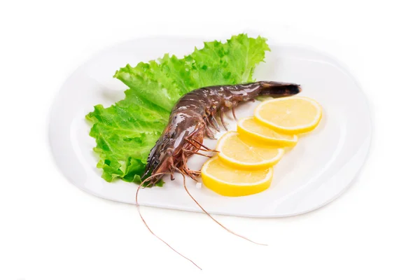 Délicieuses crevettes fraîches au citron — Photo