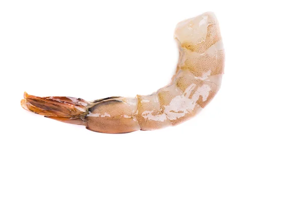 Fresh Shrimp — Stock Photo, Image