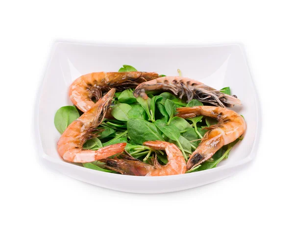 Shrimp appetizer on a white plate — Stock Photo, Image