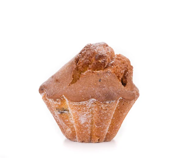 Fresh chip muffin — Stock Photo, Image