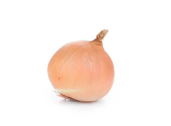 Ripe onion — Stock Photo, Image