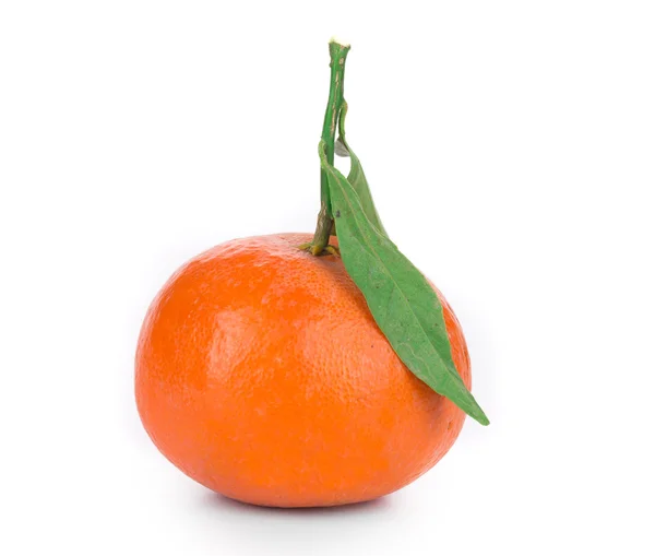 熟した美しいオレンジ — ストック写真