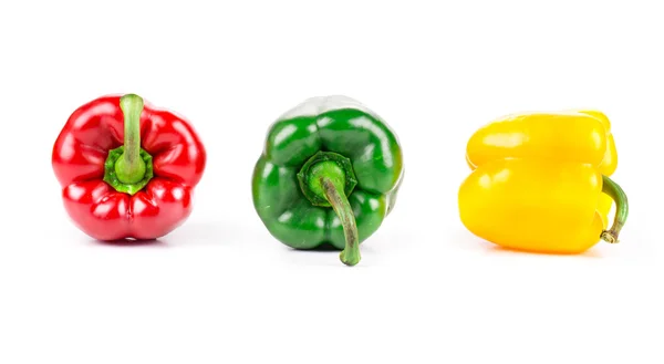 Colored peppers — Stock Photo, Image