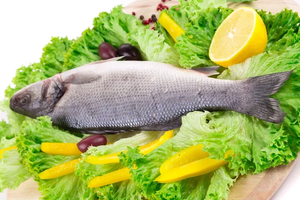 Fresh seabass fish — Stock Photo, Image