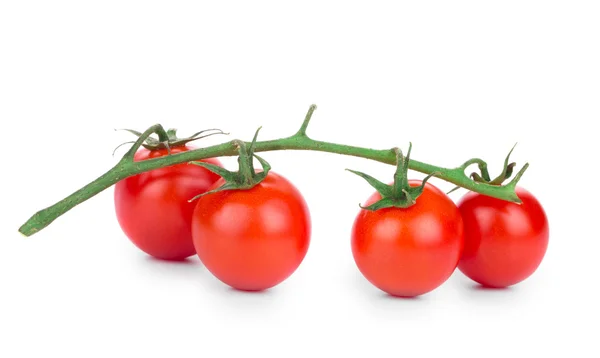 Cherry tomatoes — Stock Photo, Image