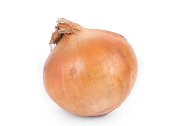 Ripe onion — Stock Photo, Image