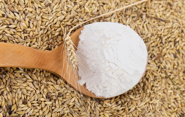 Wheat and spoon with flour. — Stock Photo, Image