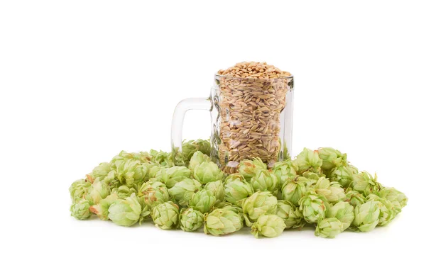 Beer goblet with hop. — Stock Photo, Image