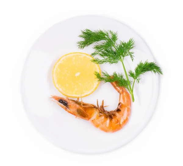 Shrimp close up — Stock Photo, Image