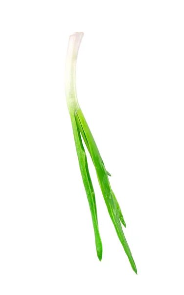 Beautiful spring onion — Stock Photo, Image