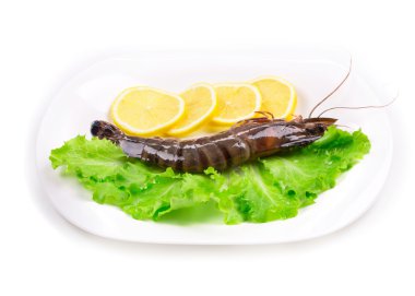 lezzetli taze karides