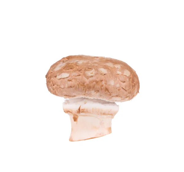 Cogumelo-de-champignon — Fotografia de Stock