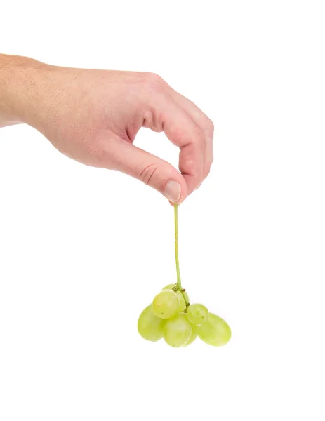 Mão segura uma uva . — Fotografia de Stock