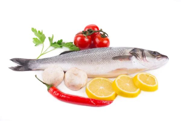 Composition of fresh seabass — Stock Photo, Image