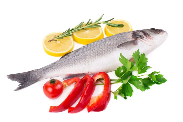 Composition of fresh seabass — Stock Photo, Image