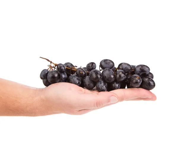 Hand holding red grape — Stock Photo, Image