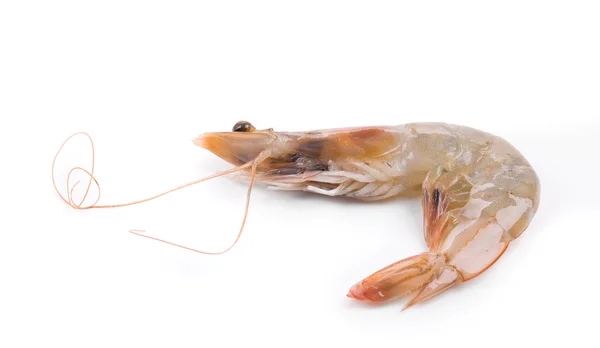 Tasty raw shrimp — Stock Photo, Image