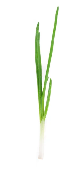 Green spring onions. — Stock Photo, Image