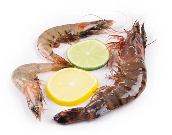 Crevettes aux tranches de citron et de citron vert — Photo