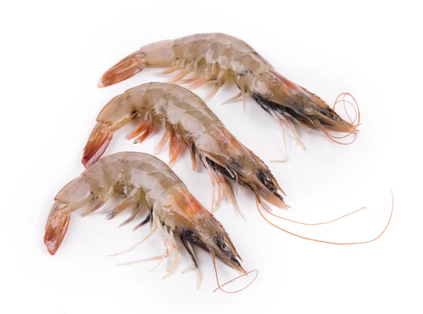 Three raw shrimps — Stock Photo, Image