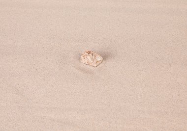 Kum üzerinde yalnız taş.