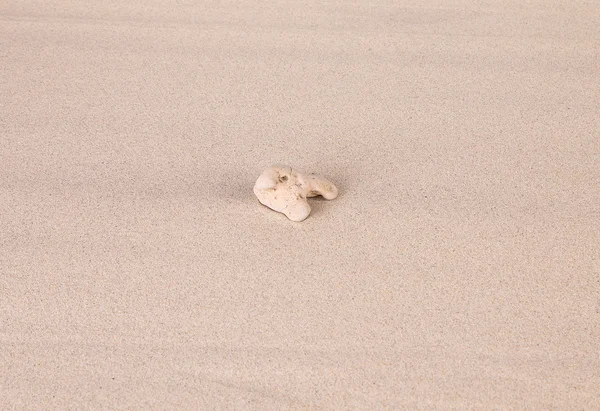 Pedra solitária na areia . — Fotografia de Stock