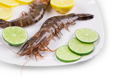 Çiğ kaplan karidesi