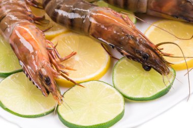 Limonlu çiğ kaplan karides