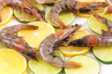 çiğ karides plaka üzerinde.