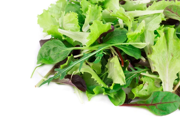 Salada de mistura . — Fotografia de Stock