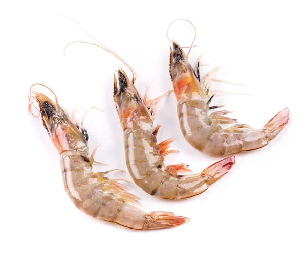 Three raw shrimps — Stock Photo, Image