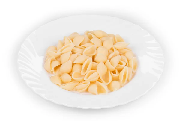 Italiensk pasta snäckor — Stockfoto
